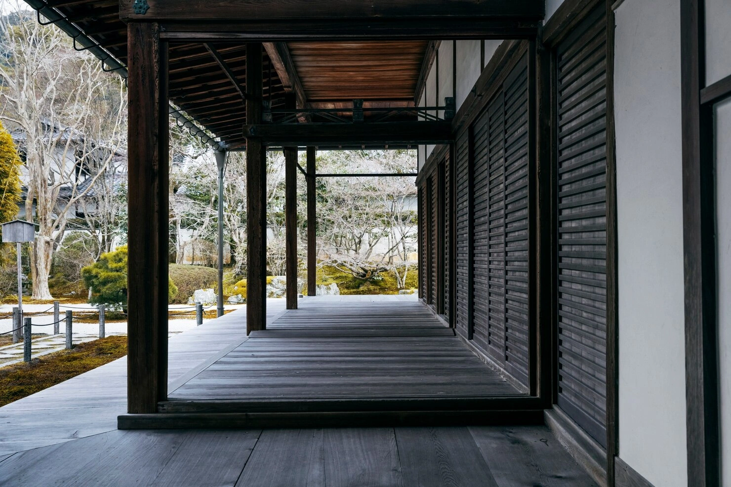 image10